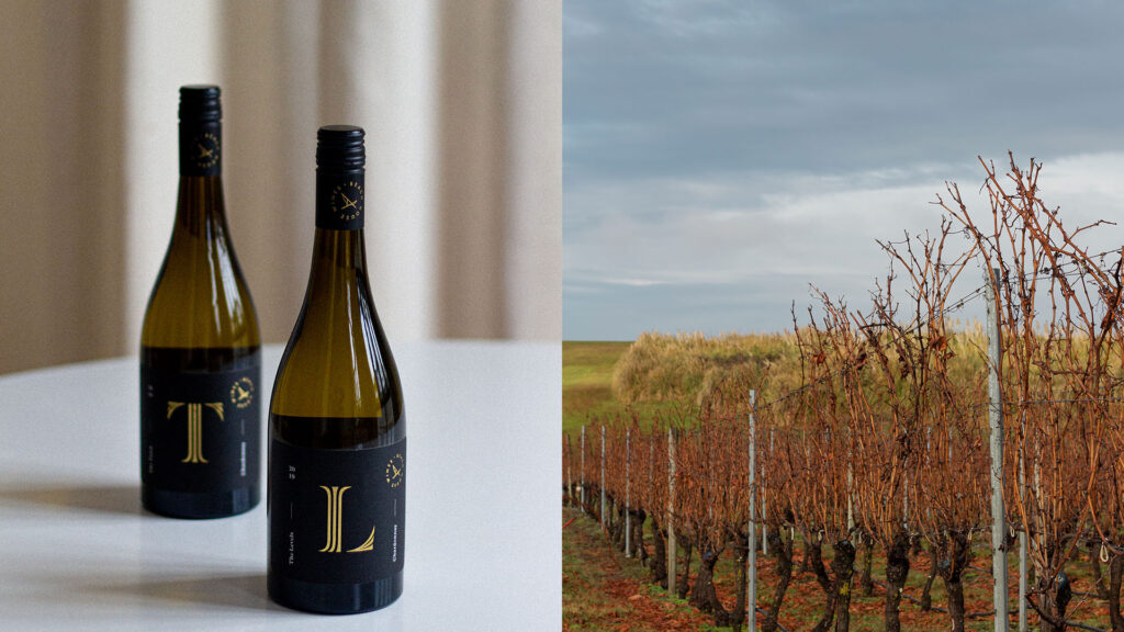 our wines, our vineyard